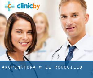 Akupunktura w El Ronquillo