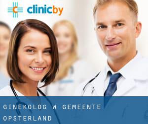Ginekolog w Gemeente Opsterland