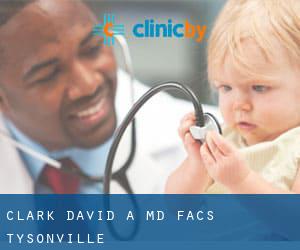 Clark David A MD Facs (Tysonville)