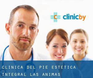 Clínica del Pie Estética Integral (Las Animas)