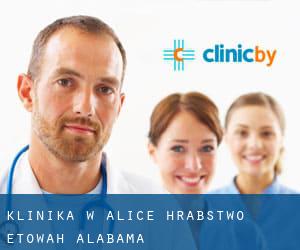klinika w Alice (Hrabstwo Etowah, Alabama)