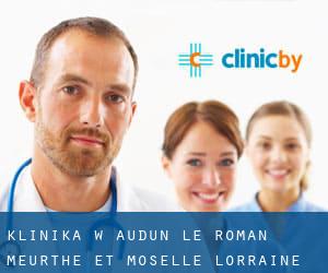klinika w Audun-le-Roman (Meurthe et Moselle, Lorraine)