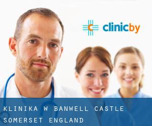 klinika w Banwell Castle (Somerset, England)