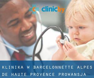klinika w Barcelonnette (Alpes-de-Haute-Provence, Prowansja-Alpy-Lazurowe Wybrzeże)