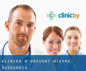 klinika w Breugny (Nièvre, Burgundia)