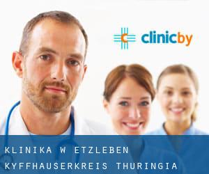 klinika w Etzleben (Kyffhäuserkreis, Thuringia)