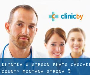 klinika w Gibson Flats (Cascade County, Montana) - strona 3