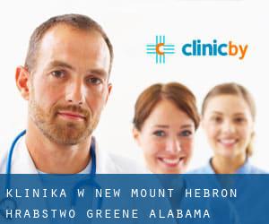 klinika w New Mount Hebron (Hrabstwo Greene, Alabama)