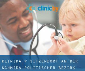 klinika w Sitzendorf an der Schmida (Politischer Bezirk Hollabrunn, Dolna Austria)