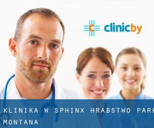klinika w Sphinx (Hrabstwo Park, Montana)