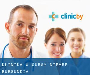 klinika w Surgy (Nièvre, Burgundia)