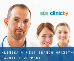 klinika w West Branch (Hrabstwo Lamoille, Vermont)