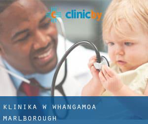 klinika w Whangamoa (Marlborough)